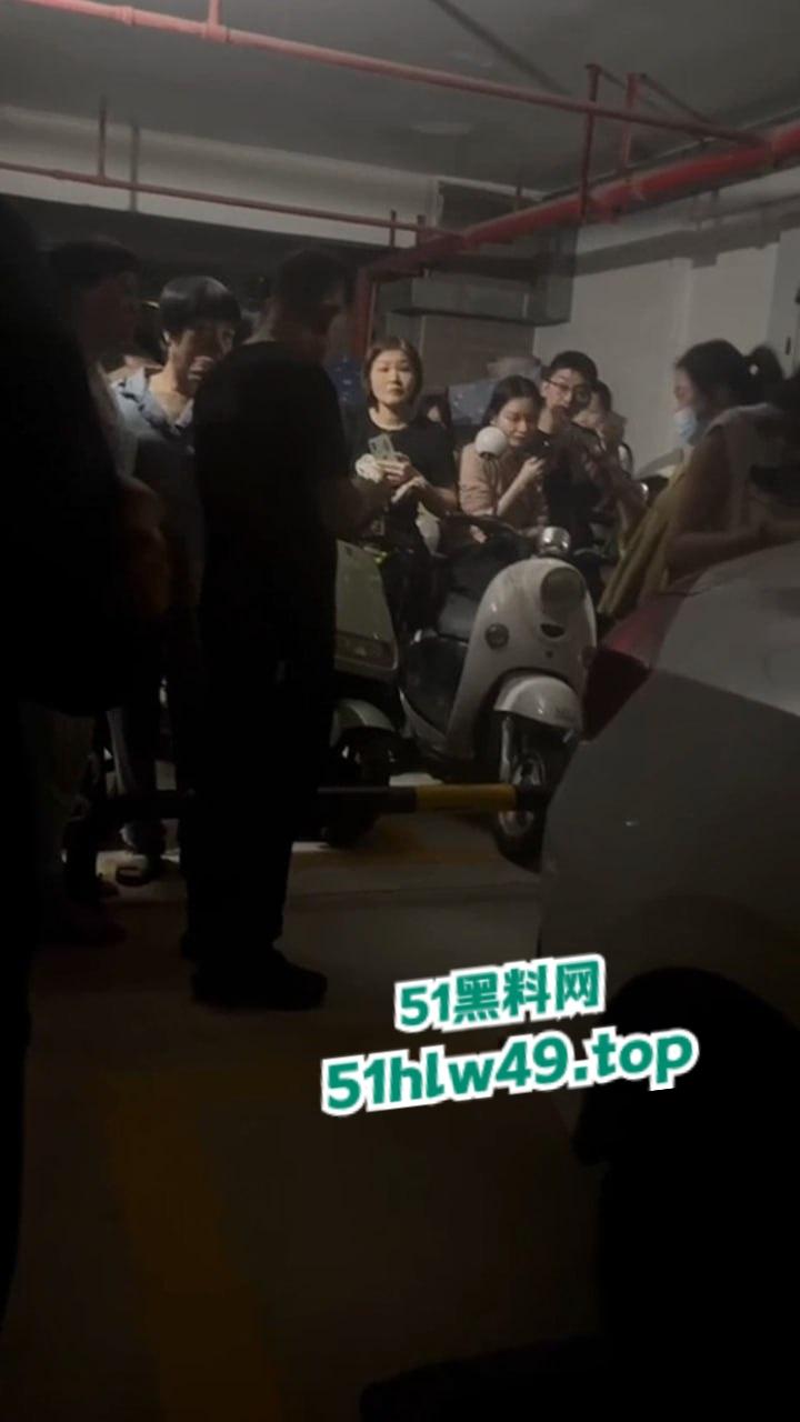 广东汕头肥猪女捉奸,小三车上涂鸦带人当街殴打,肥婆已被逮捕求谅解只能净身出户。-6