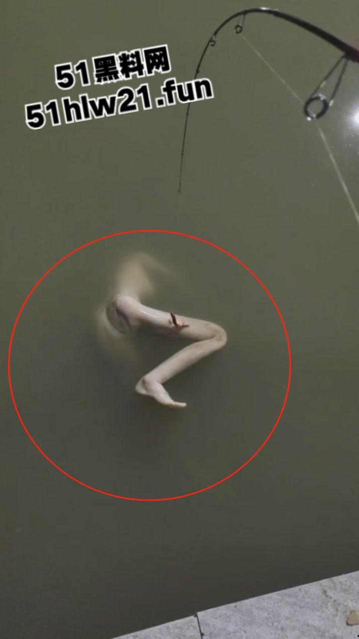 钓鱼佬夜钓惊现尸体，大长腿女尸钓鱼佬也太神奇，除了鱼钓不到以外什么都能钓到！-4