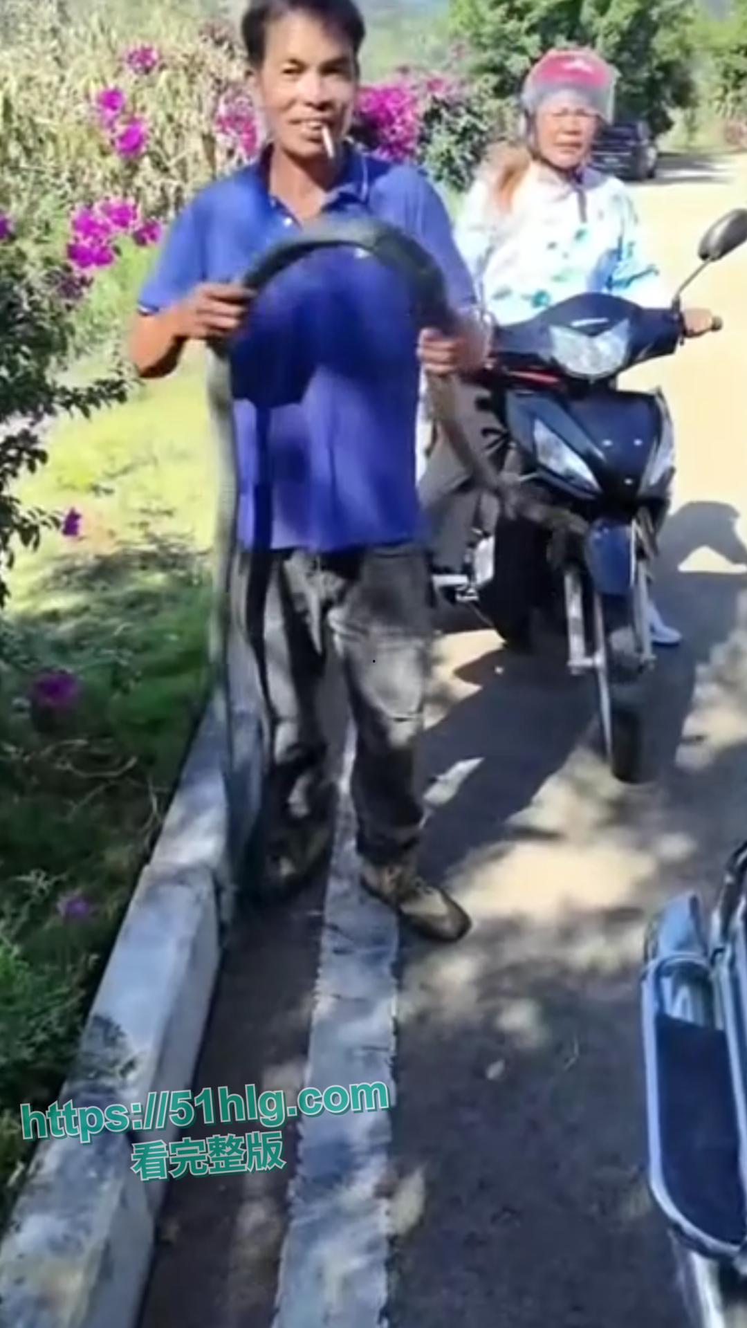 震惊！【贵州】男子惨遭眼镜王蛇夺命， 错把眼镜王蛇当乌梢蛇肆意玩耍，荒唐行为令人唏嘘不已-6