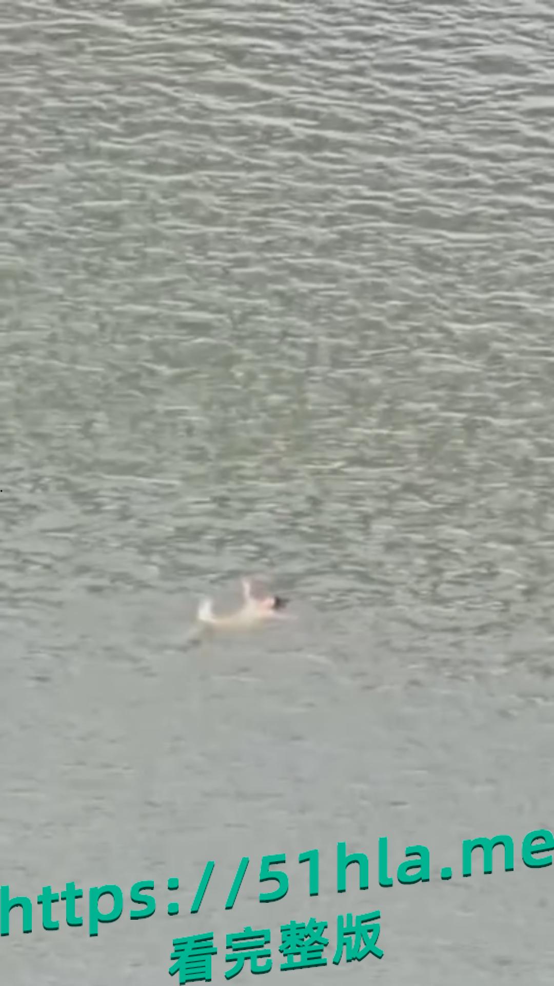 揪心！广西桂平师生恋大瓜再添细节：女生失联两天家人急发寻人启事，最终跳江，男老师忏悔难挽性命！​-9