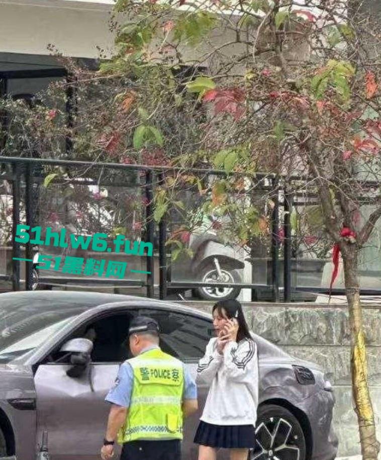 上一秒还在炫耀的“小仙女”下一秒开着小米汽车撞得稀烂现场视频曝光!-6
