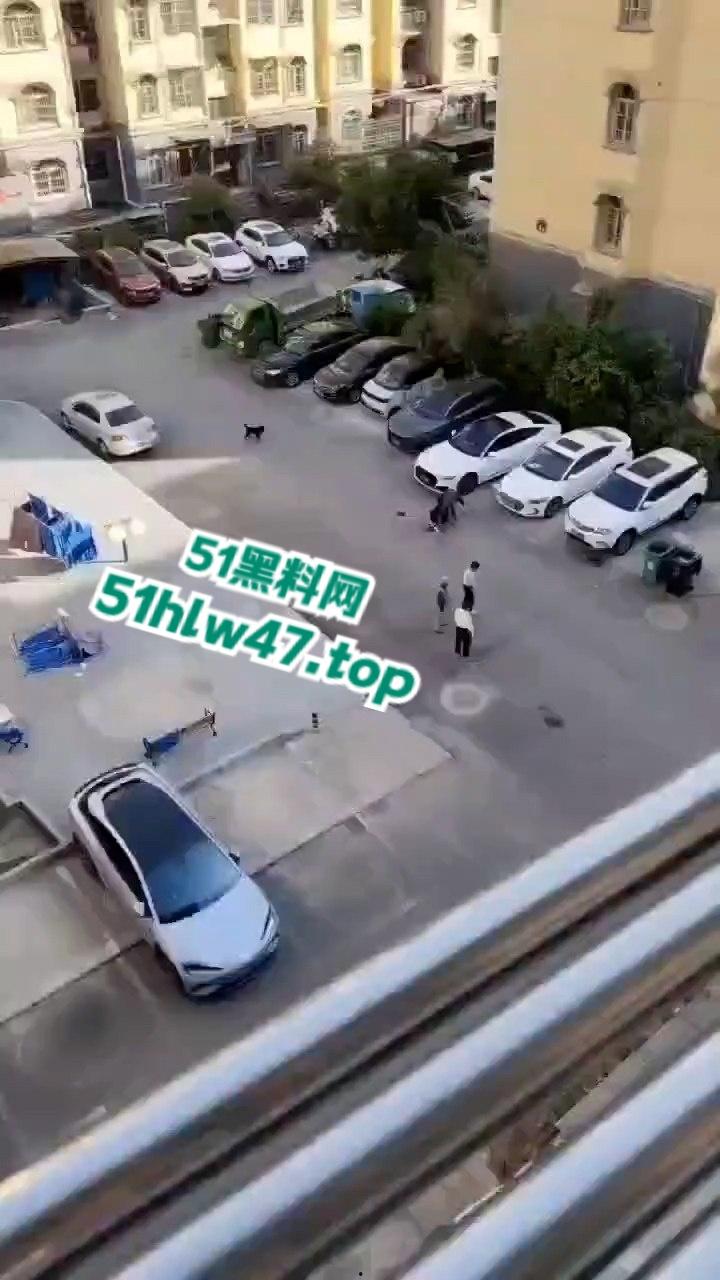 景德镇梨树园北苑老板娘欠钱被砍死视频,女老板欠钱不给还侮辱老实人遭对方乱刀砍死。-7