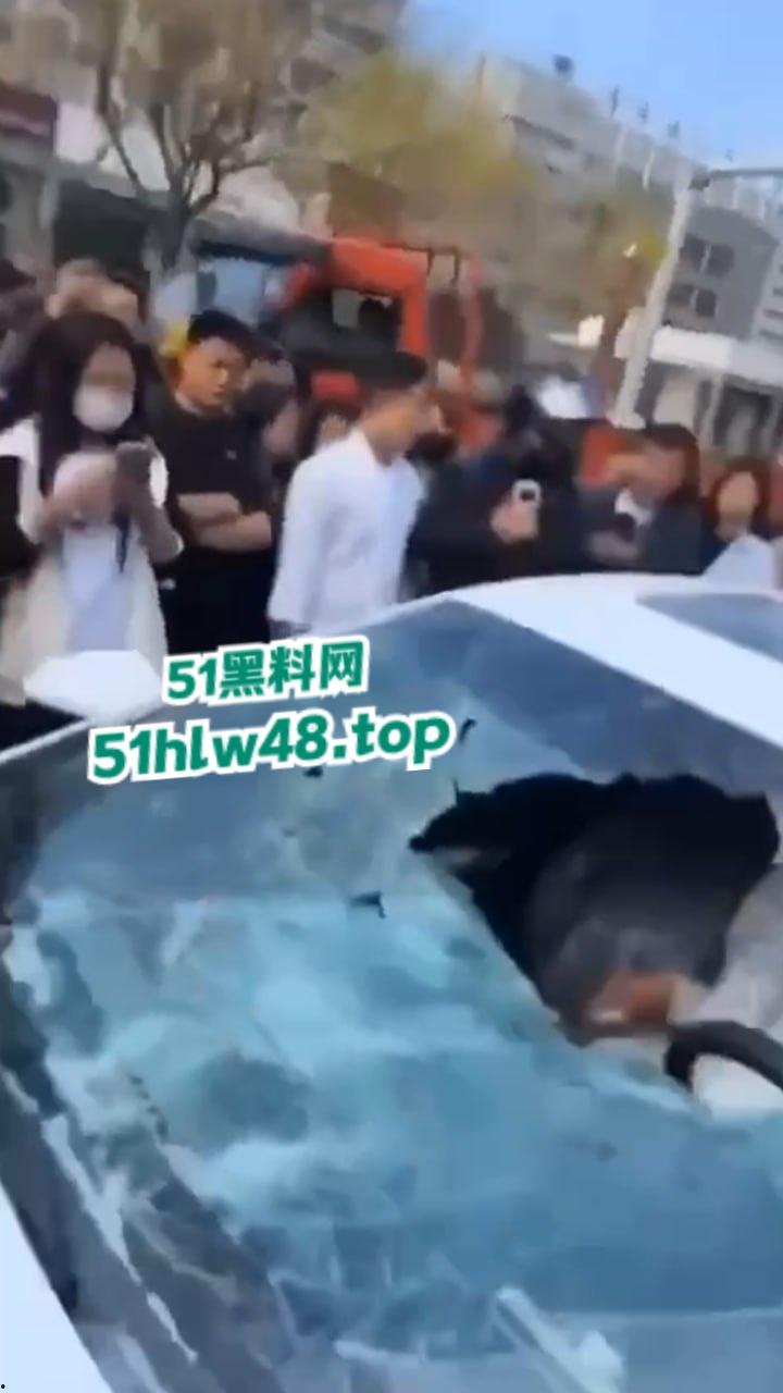 河北邢台最蠢原配,带姐妹家人砸车抓小三被吓的车里不敢出来,结果被玻璃划伤原配遭刑拘。-3