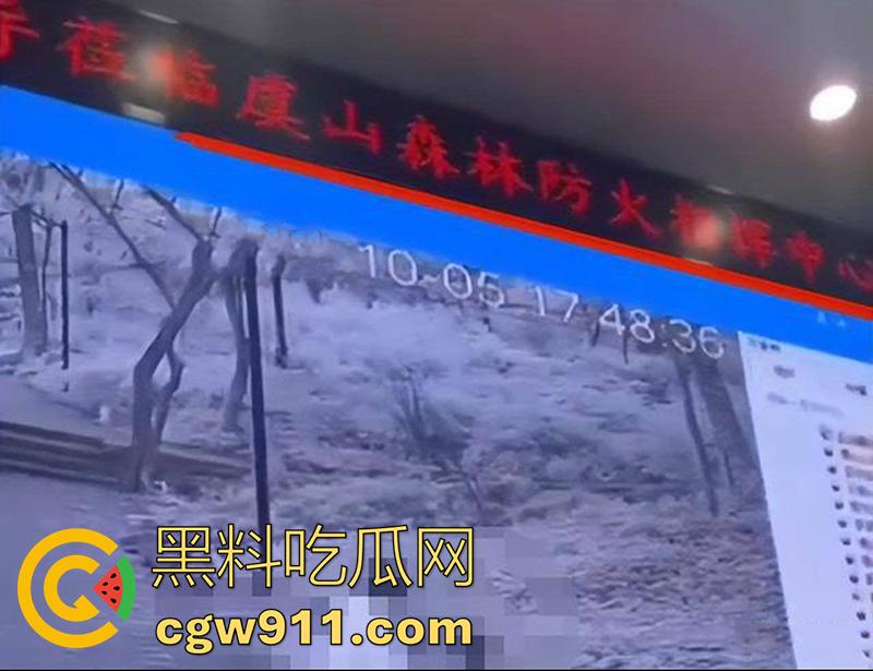 户外野战竟被森林监控拍下,常熟虞山森林防火指挥中心,大屏上演活春宫,这偷情真会找地方啊!-2