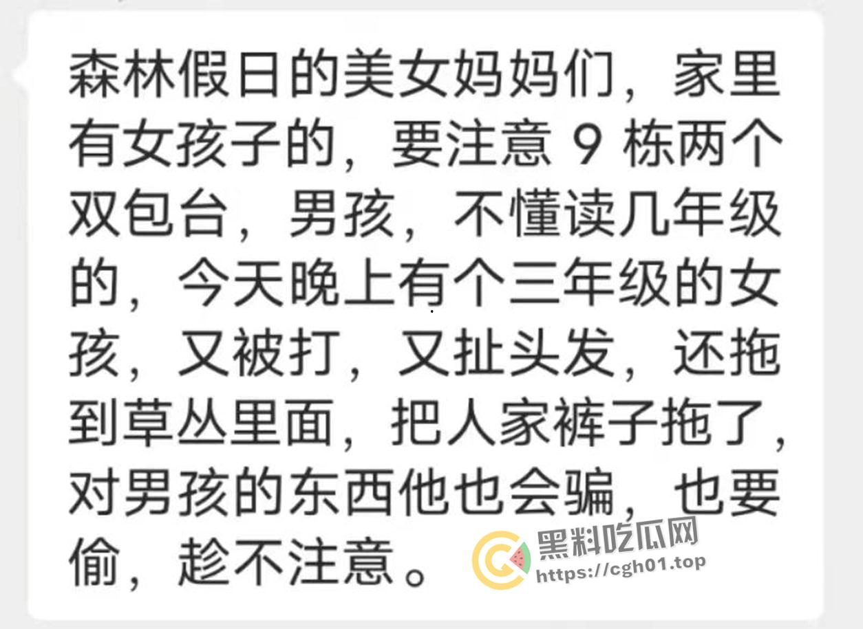 6年纪双胞胎男孩配合他人在小区内哄骗猥亵多名女孩 小畜生被其他家长暴打 抓捕现场曝光-3