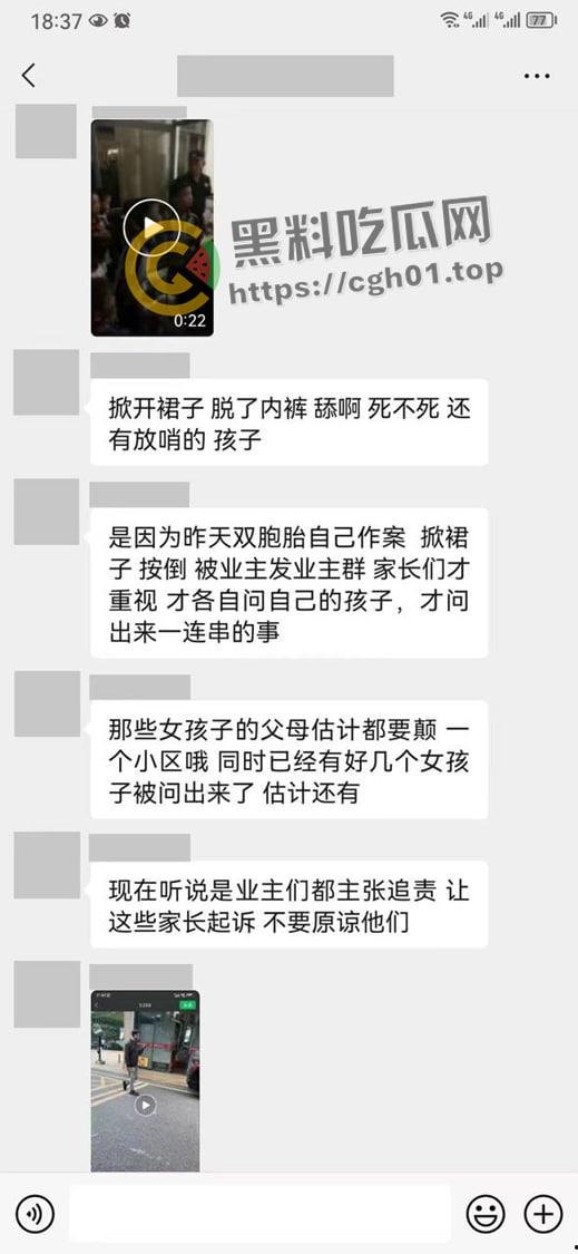 6年纪双胞胎男孩配合他人在小区内哄骗猥亵多名女孩 小畜生被其他家长暴打 抓捕现场曝光-7