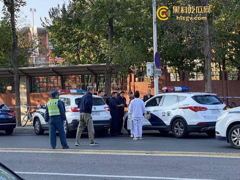 没人性!北京海淀区男子当街砍人报复社会 专挑孩子下手 现场血腥惨烈视频曝光-8