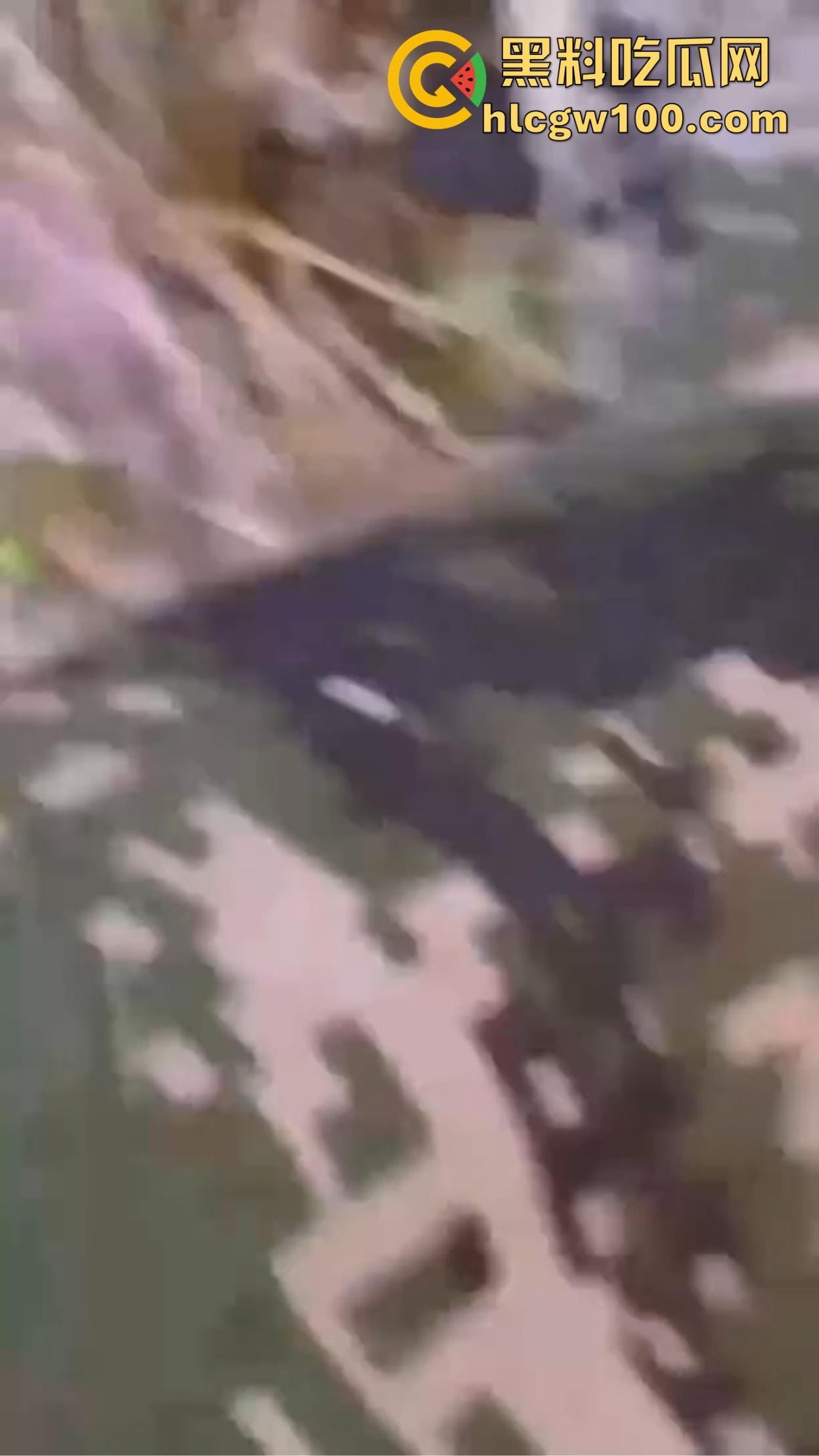 江苏师范大学飞机哥骚操作,篮球场后厕所手瘾犯了,当场打飞机被同学偷拍,场面离谱到无语!-10