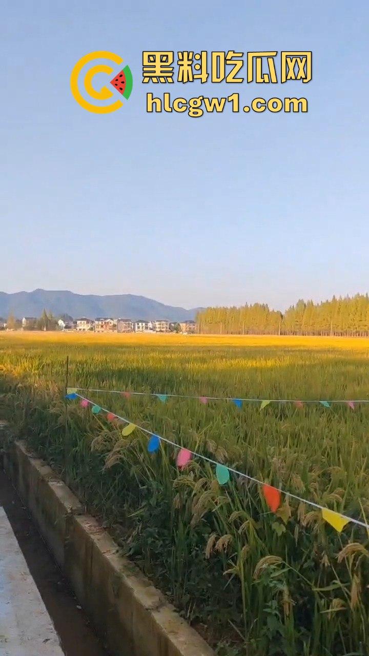 户外野战被拍!小情侣野战以为没人看,结果被摄像大哥拍得清清楚楚,这瓜友是他们play的隐藏角色?-1