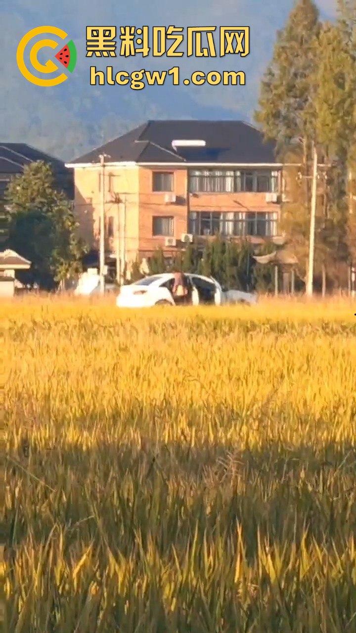 户外野战被拍!小情侣野战以为没人看,结果被摄像大哥拍得清清楚楚,这瓜友是他们play的隐藏角色?-3