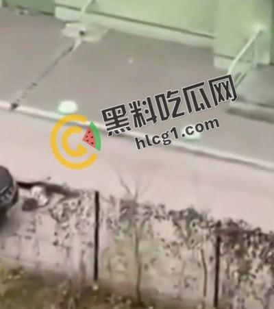 大连公安局交警支队政委张一辉在办公室九楼跳楼自杀，有人说畏罪自杀有人说被人所逼，瓜友们怎么看-4