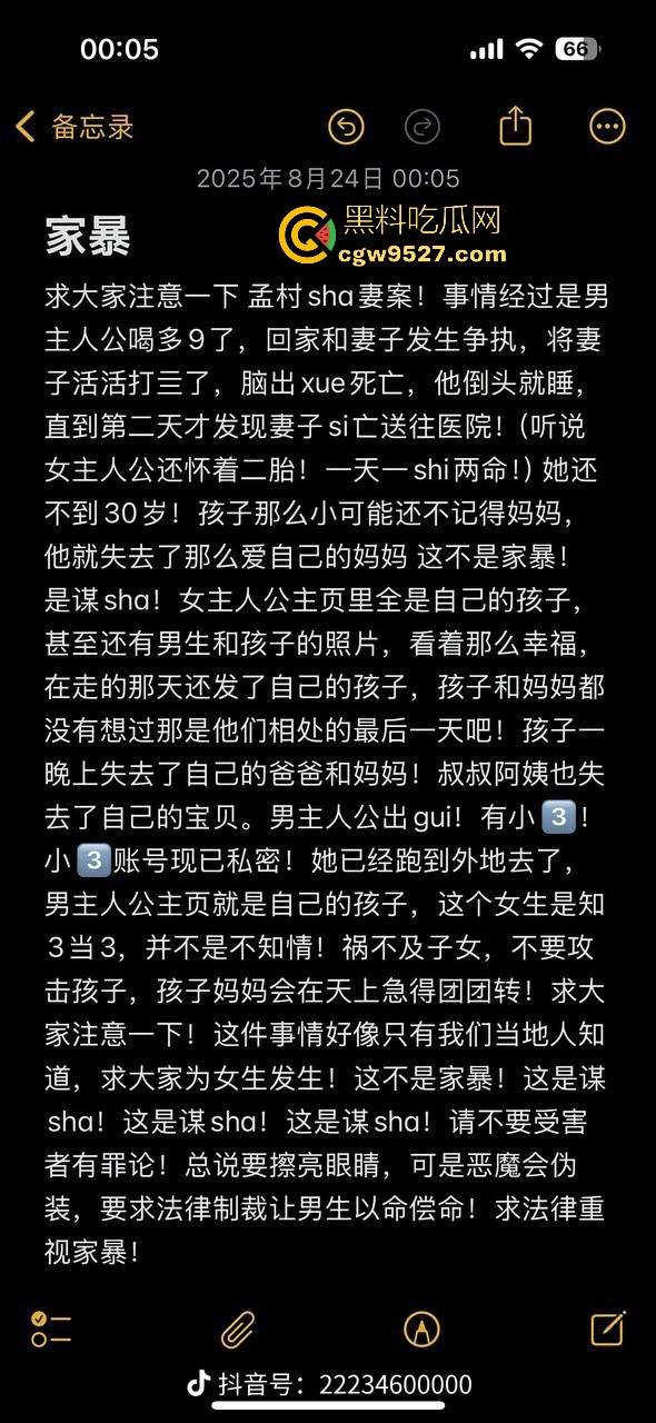 婚内出轨不稀奇,河北检察官【金昊】出轨还家暴杀妻?怀孕三月妻子被活活打死,一尸两命成了出轨的投名状?-8