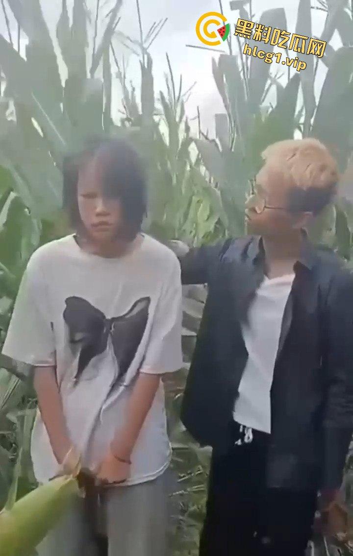 河南商丘高中女生被两名男同学殴打!玉米地中耳光、拳脚相加!-9