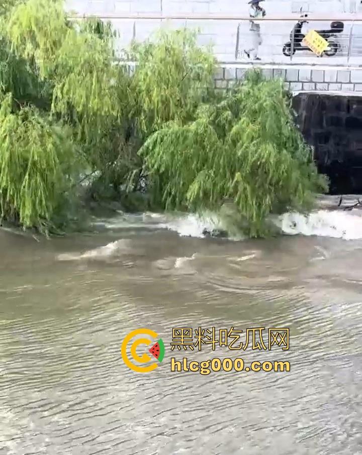 好悬啊！杭州闻堰突然大潮，小朋友在河边玩，未及时发觉被洪水冲走，还好及时抓住了树枝解救，险象环生！-6