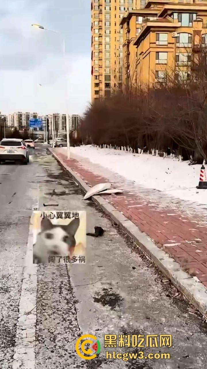 吉林妙龄女开奔驰撞倒电线杆车头损毁严重 乐观表示:红灯都没闯过-11