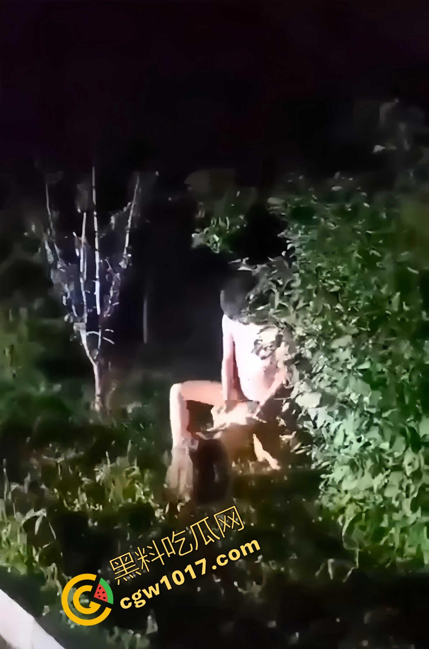 赤裸情侣路灯下野战!小哥疯狂后入,女友淫荡浪叫,惊爆路人眼球,视觉与听觉的双重冲击-5