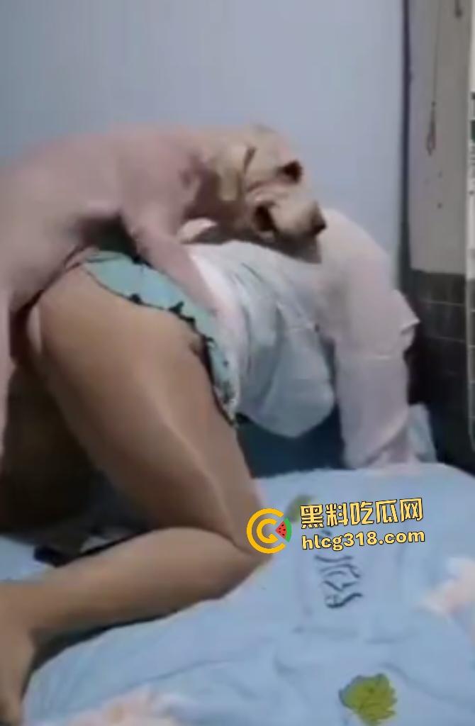 性爱伟大主题人与兽！灰丝肥臀熟女被拉布拉多猛操，不仅吃得多射的也多，射完后还清理残留精液！-6