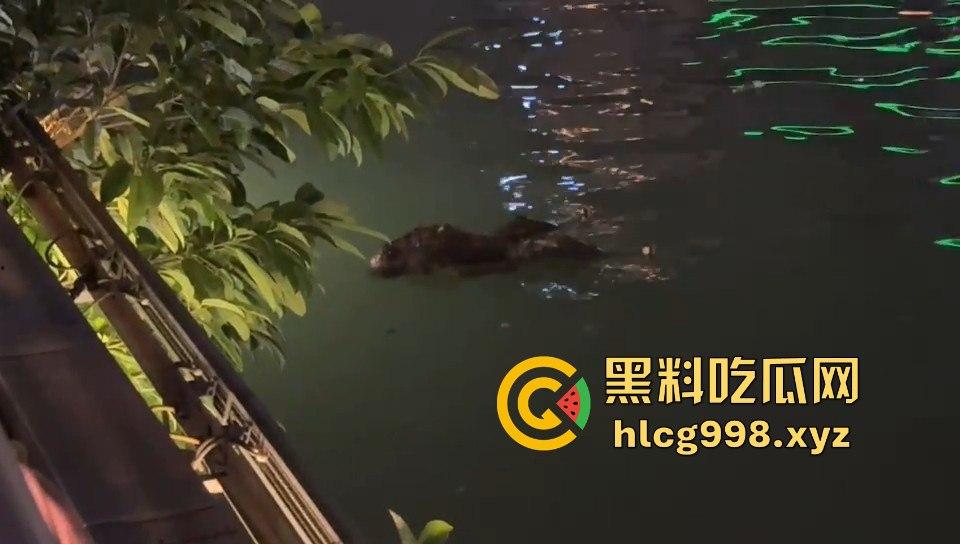 瓜友爆料！成都兰桂坊门口河里惊现浮尸，场面诡异引发热议！-10