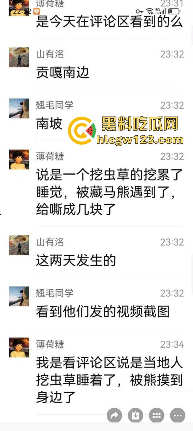 西藏贡嘎藏马熊屠杀人类，帅哥随旅行团西藏游，一行人挖虫草误入熊窝，头骨被咬碎无一生还！-2