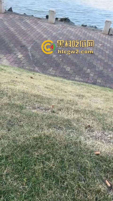 广州番禺区遛狗的注意了！有人在河边下毒，什么变态玩意儿？小心爱犬中招！-7