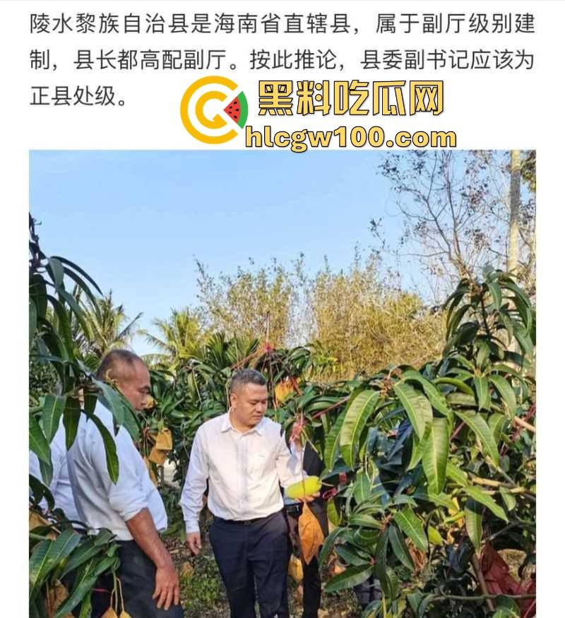 抖音【程度】本名【程学申】实名举报海南省陵水县县委副书记兼政法委书记【肖峰】，长期和他老婆【陈思月】保持不正当性关系！-1