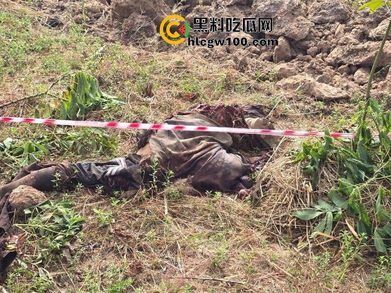 电棍烤肉天天有 鞭打枪击家常饭 东南亚园区猪仔真实生活实况流出-7