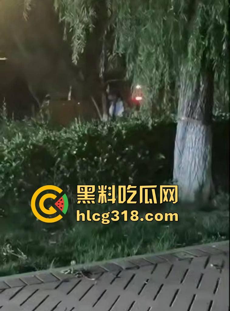 山东东营大爷大妈夜市小树林大战！直立后入爆操，激烈而迅猛，但仅仅只维持了一分多钟就潦草收场！-7