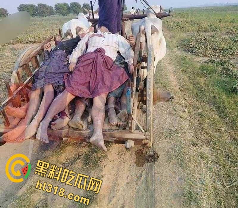 波及平民！死伤无数！缅甸内战的局势愈演愈烈，缅甸各方艰难达成停火协议 !-4