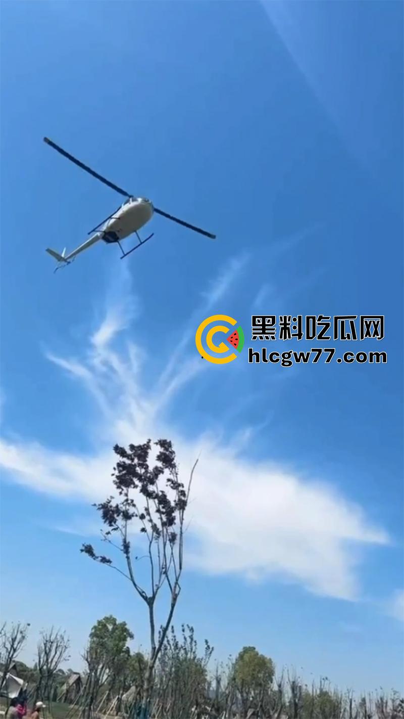 熊孩子惹大祸了，小型直升机降落，熊孩子弹弓射到机尾旋桨，导致机身不稳当场坠毁！-4