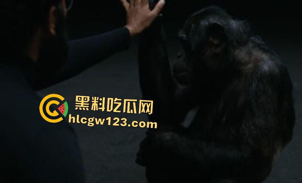 Yo，《评估》这末世神片吓得头皮发麻！生育权噩梦，人性深渊炸裂！-4