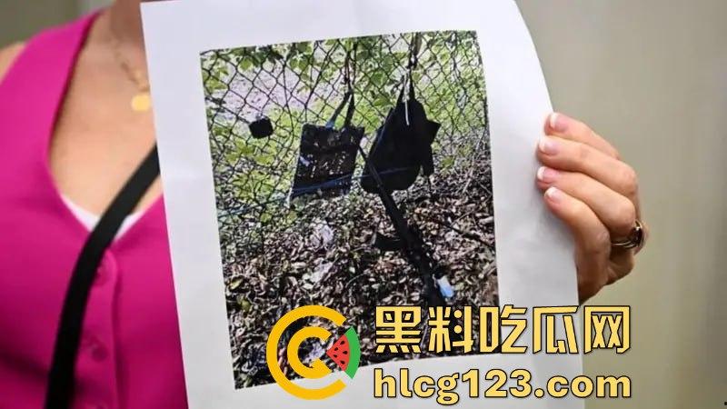 特朗普再遭暗杀未遂？耳朵险成牺牲品！为MAGA奋战，未来大统领只差一只耳！-15