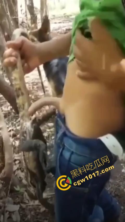 印度阿三享受变态玩乐：鸡巴爆操蜥蜴嫩穴，直到精液喷涌，炫耀异样快感，震撼画面引无数网民围观-10