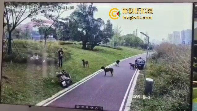 江西赣州母女在公园散步被四条野狗攻击撕咬，扯下来的肉被吃掉，暴露性伤口可以塞进一只手-6