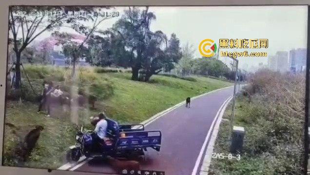 江西赣州母女在公园散步被四条野狗攻击撕咬，扯下来的肉被吃掉，暴露性伤口可以塞进一只手-12