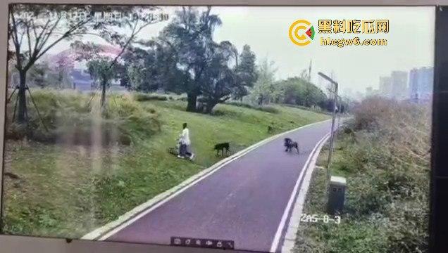 江西赣州母女在公园散步被四条野狗攻击撕咬，扯下来的肉被吃掉，暴露性伤口可以塞进一只手-13