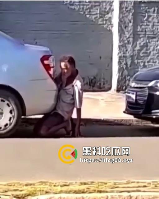 印度神奇的国度,大爷忘情与汽车排气管进行活塞运动 日了蜥蜴还能日排气管！-5