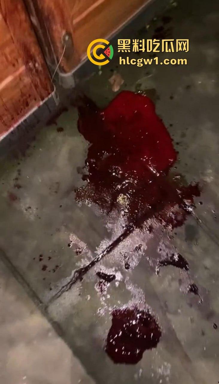 四川自贡富顺县斗殴闹出人命！精神小伙打架打崩，掏刀捅胸鲜血四溅，心肺复苏都白搭！-12