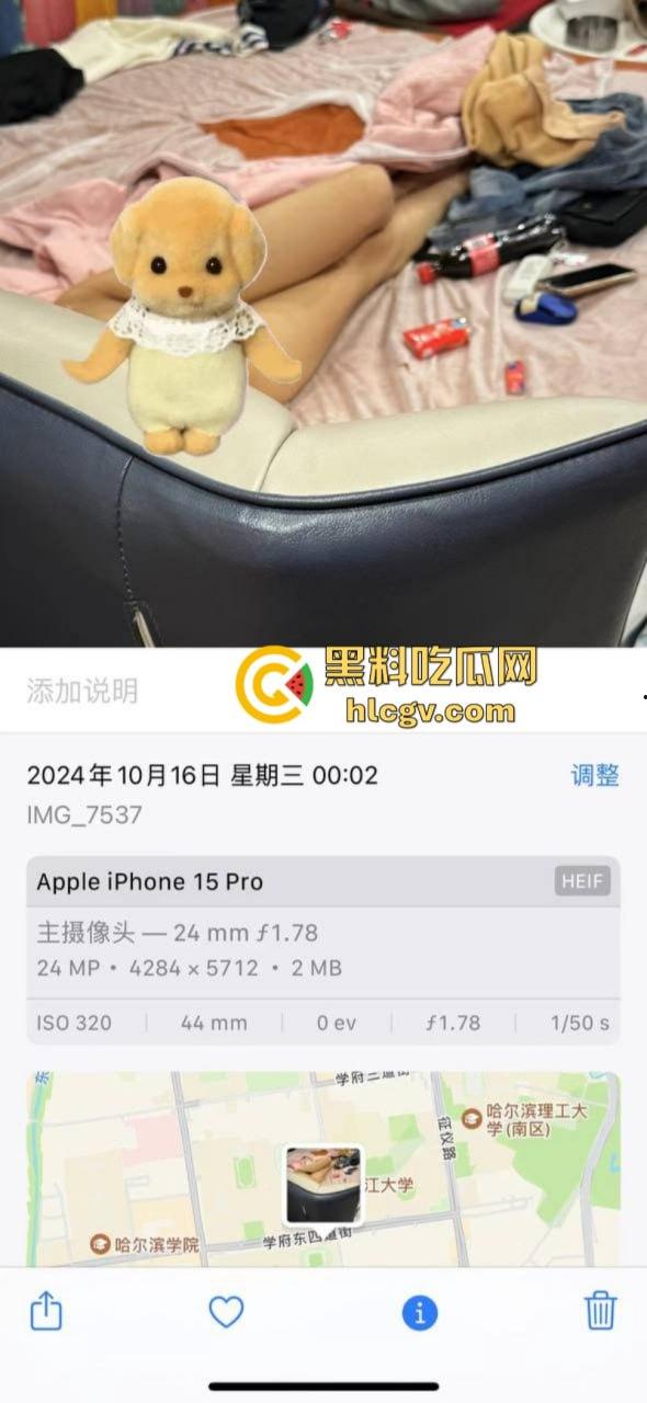 哈尔滨约炮大神 国庆节期间开房轮操数女 鸡巴都磨细了！-25