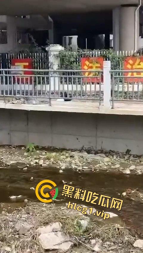 秦皇岛一中高一学生压力大，竟用摔断腿逃学！以身入局的聪明计谋？-9