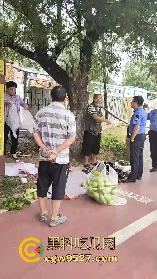 黑龙江城管不讲道理执法，跟买菜小摊贩说两句就上头，牛逼到不行，给个书记他做那不得起飞了！-1