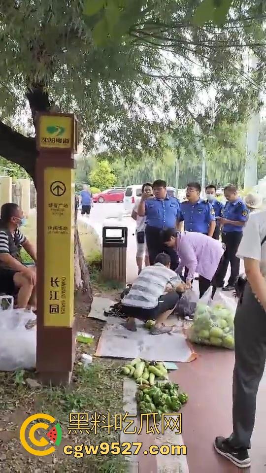 黑龙江城管不讲道理执法，跟买菜小摊贩说两句就上头，牛逼到不行，给个书记他做那不得起飞了！-5