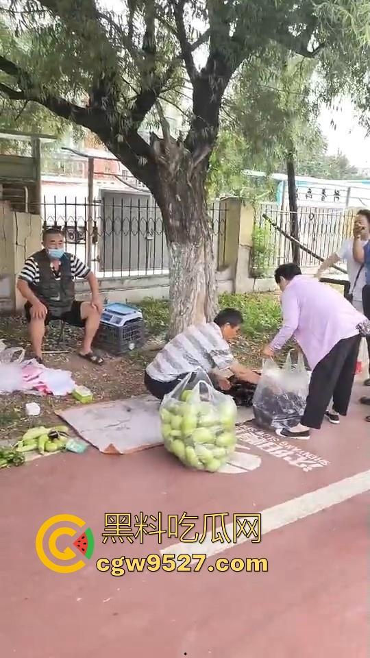 黑龙江城管不讲道理执法，跟买菜小摊贩说两句就上头，牛逼到不行，给个书记他做那不得起飞了！-8