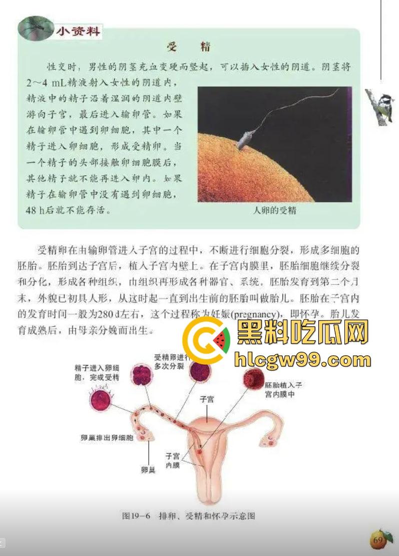七年级生物课现场社死，老师一本正经讲解鸡巴与阴道的互插关系， 还让全班大声朗读鸡巴，课堂笑死个人！-6