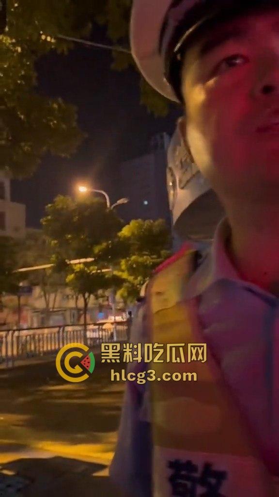 河南漯河暴力执法！男子举报警察查酒驾期间遭暴力搜车与殴打，行车记录仪被强行夺走！-4