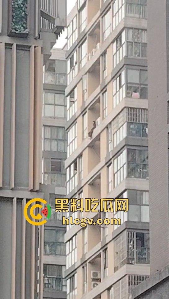 重庆男子跳楼导致外卖延时送达,外卖小哥们却在现场吃瓜!-8