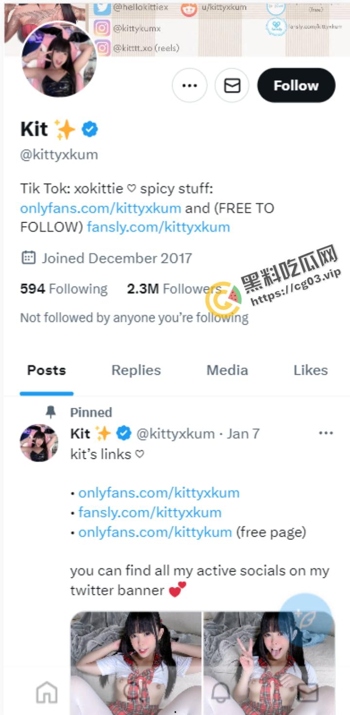 推特OF 两百万粉网黄博主淫乱萝莉【KittyXkum】11月最新付费福利  双马尾呆萌反差萝莉嫩妹！-1