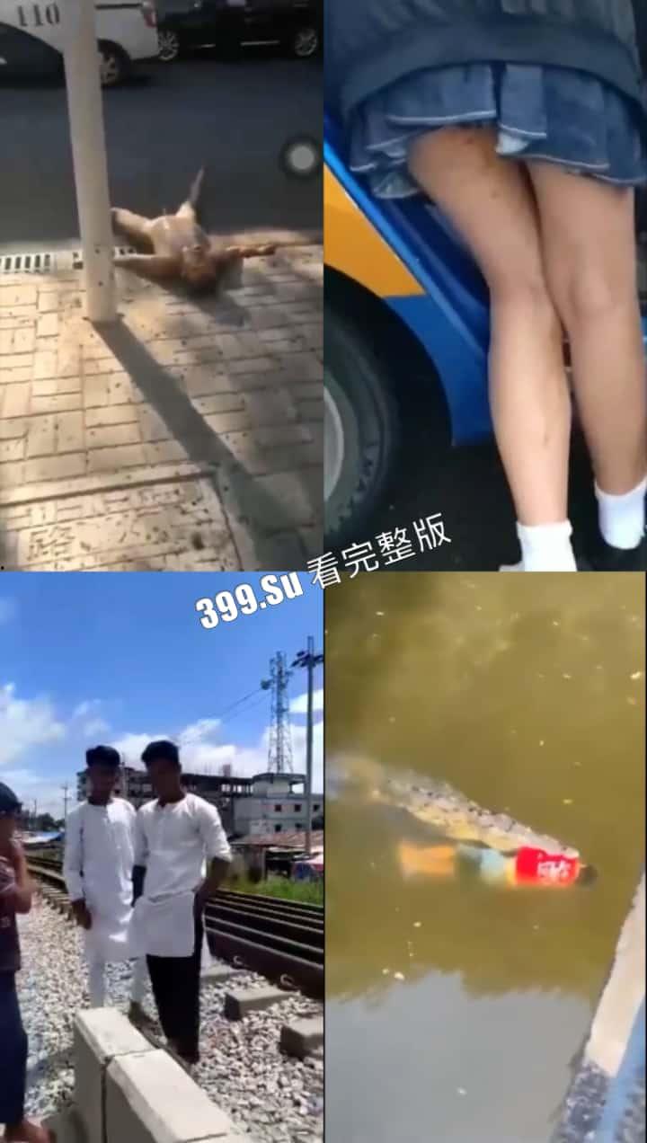 猎奇系列 人不能…至少不应该（十九)-2