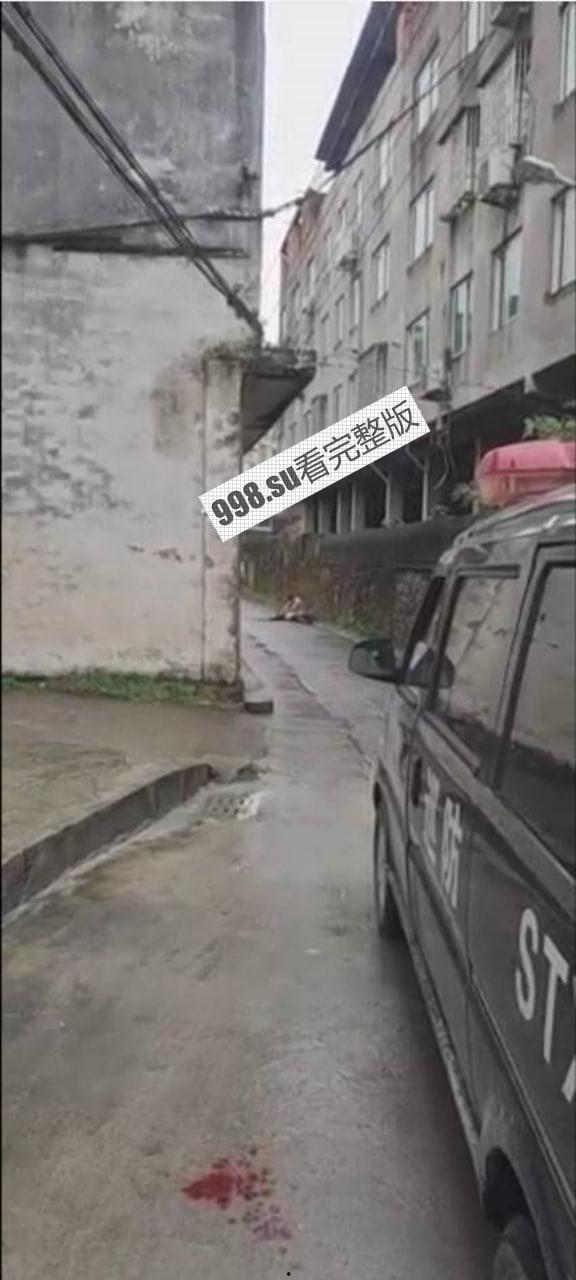 平阳水头镇麻车路 某男子当街持刀砍父母-2