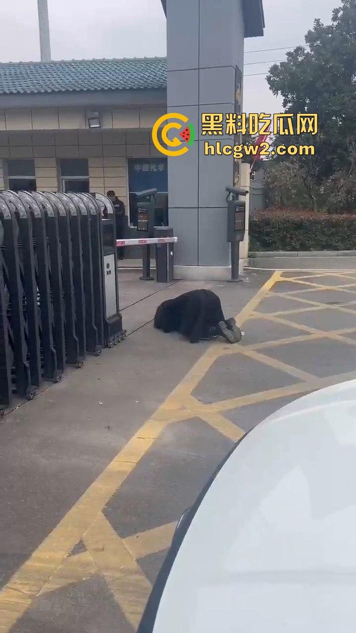 江苏女子匍匐跪地讨18万工钱！抱住腿痛哭求怜悯，欠薪公司无动于衷近20天仍赖账！-6