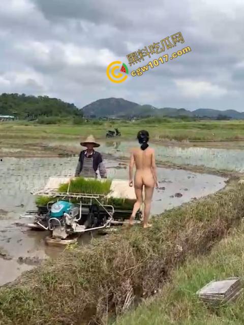 极品尤物CikaiMoon大尺度暴露！穿越稻田，酮体迷人，巨波荡漾，翘臀蹦跳，农民伯伯纷纷回眸，欲火中烧！-13